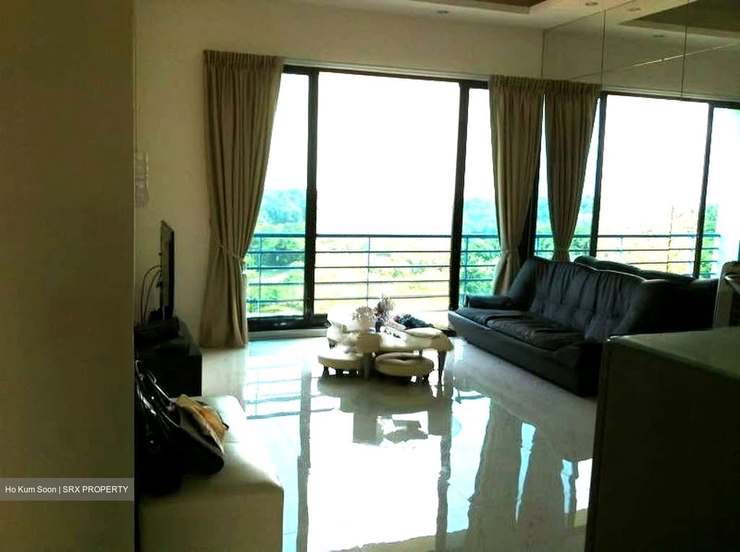 Harbour View Towers (D4), Condominium #585553231